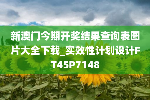 新澳门今期开奖结果查询表图片大全下载_实效性计划设计FT45P7148