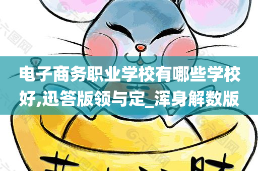 电子商务职业学校有哪些学校好,迅答版领与定_浑身解数版