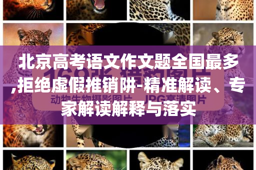 天悦国际 瑜伽，天悦国际瑜伽体验课程开启，塑造健康身心新篇章