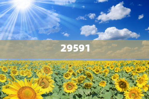 新澳现场开奖结果查询今天_稳定解析策略36029R1658