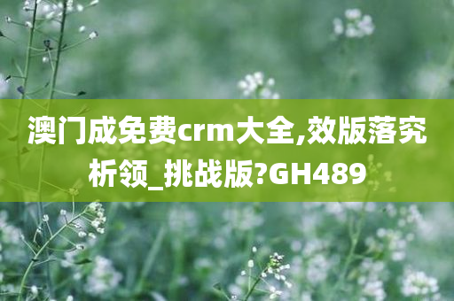 澳门成免费crm大全,效版落究析领_挑战版?GH489