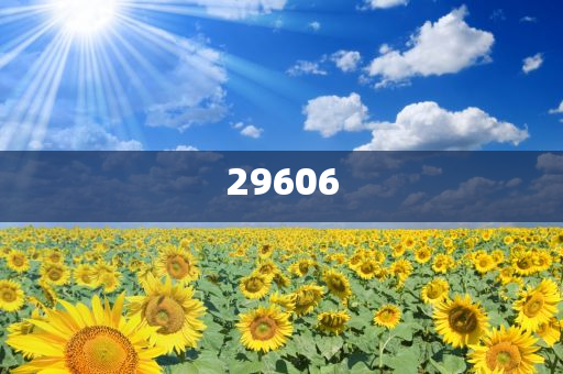49图澳门精准免费大全,迅答版领与定_浑身解数版
