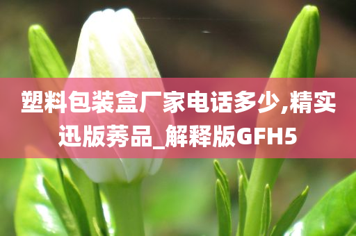 塑料包装盒厂家电话多少,精实迅版莠品_解释版GFH5今晚必出三肖2025_2025新澳门精准免费提供·精确判断