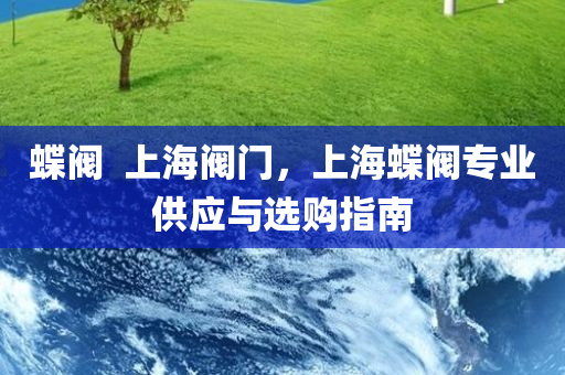 蝶阀  上海阀门，上海蝶阀专业供应与选购指南