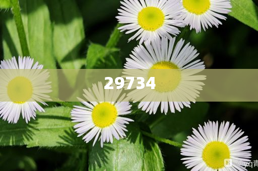 283期澳门开奖号_精细策略分析完整版86W9439