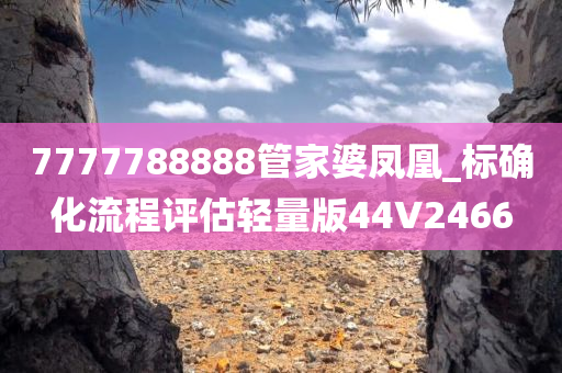7777788888管家婆凤凰_标确化流程评估轻量版44V2466
