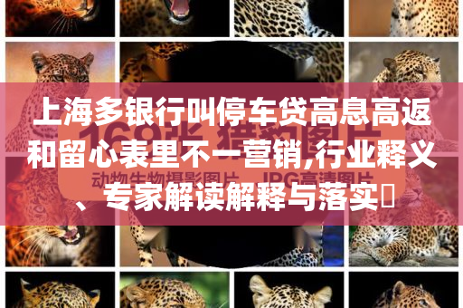 涂国治书法价格，涂国治书法价格探究