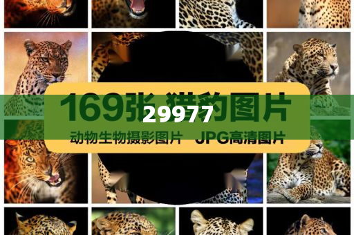 澳门开奖结果新闻直播_深层数据设计解析优选版55H4052