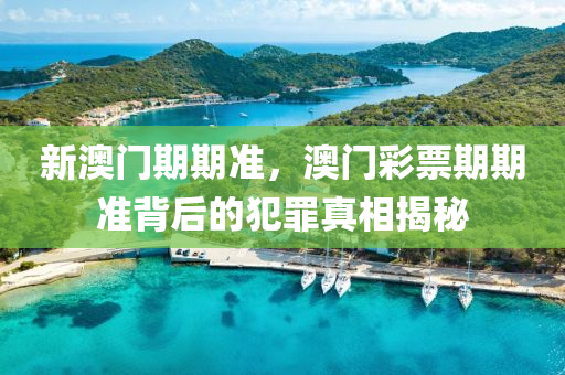 新澳门期期准，澳门彩票期期准背后的犯罪真相揭秘