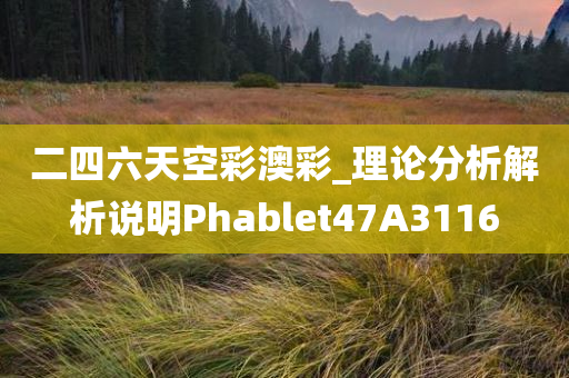 二四六天空彩澳彩_理论分析解析说明Phablet47A3116