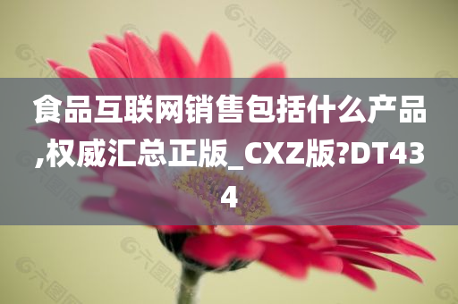 食品互联网销售包括什么产品,权威汇总正版_CXZ版?DT434