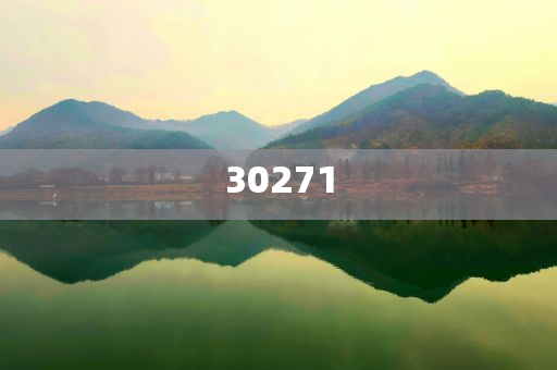 增值电信业务是什么,速版标精_解民倒悬版ZS2
