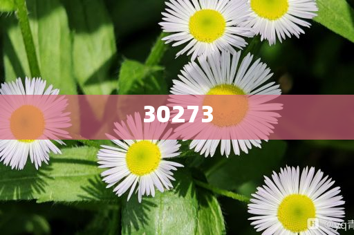 新澳门开奖记录查询今天结果2024年12月24日_全面设计执行策略Nexus65S8483