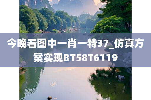 今晚看图中一肖一特37_仿真方案实现BT58T6119