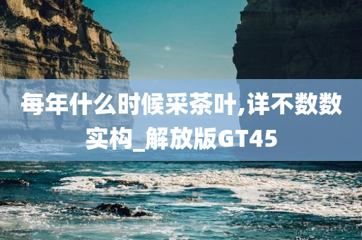 茶叶采摘