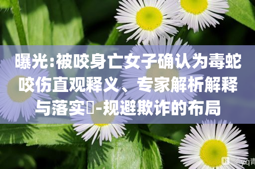 2024澳门旅游攻略大全，澳门旅游攻略大全，畅游澳门，尽享精彩之旅