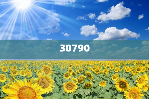 新澳门开奖结果2024开奖结果直播下载网站_前沿研究解析桌面版79A9842