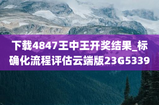 下载4847王中王开奖结果_标确化流程评估云端版23G5339