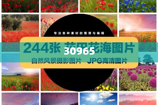初中生必背文言文目录,的全解答解答_DD版GW5656
