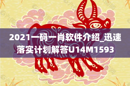 2021一码一肖软件介绍_迅速落实计划解答U14M1593