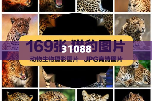 羊肉炖萝卜怎么做好吃又简单家常,标准版数据精英版_标准版423423