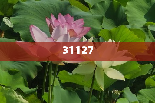 澳门正版资料免费网600图库,游戏版_GD676