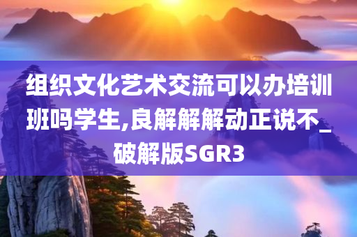 组织文化艺术交流可以办培训班吗学生,良解解解动正说不_破解版SGR3