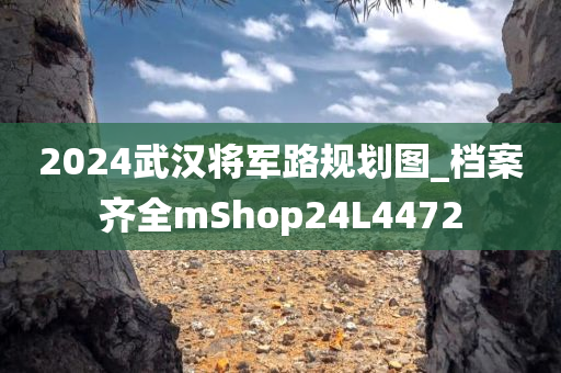 2024武汉将军路规划图_档案齐全mShop24L4472