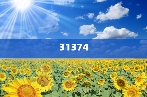 super_admin 第196页