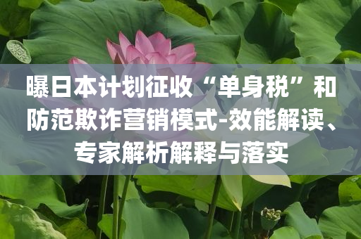 榆木家具加盟，榆木家具加盟，共创家居事业新篇章