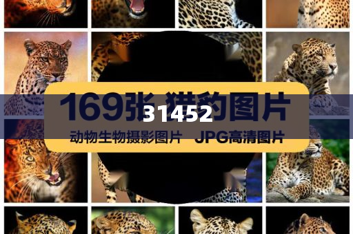 玻璃钢化粪池安装规范要求,英正释详全落_解甲归田版ASD2