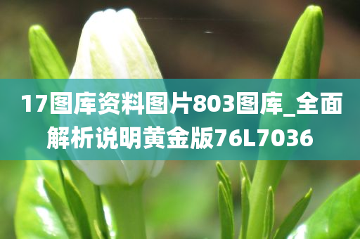 17图库资料图片803图库_全面解析说明黄金版76L7036