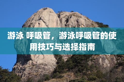 游泳 呼吸管，游泳呼吸管的使用技巧与选择指南
