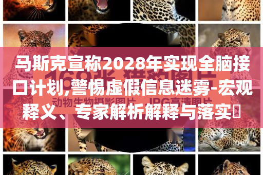 喜马拉雅山旅游攻略，喜马拉雅山登山指南与旅游攻略
