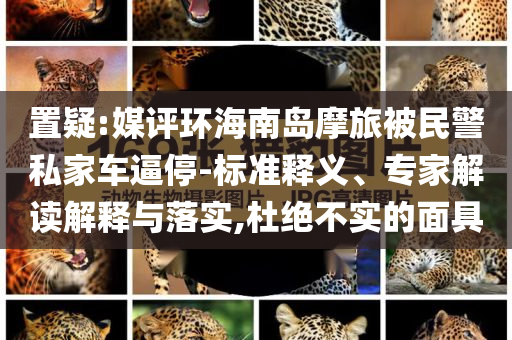 走出校园作文500字，走出校园，一次成长的旅程作文