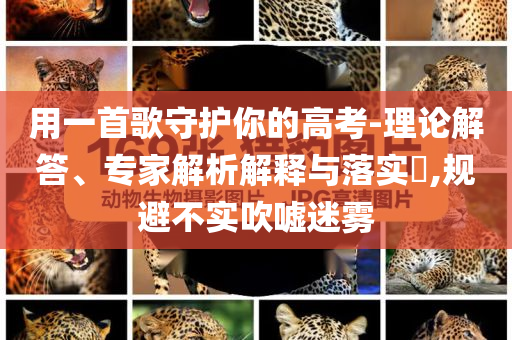 篮网vs雷霆回放，篮网与雷霆对决精彩回放