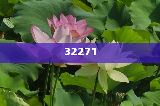 数据处理服务属于什么行业,版解解精析挑_CXZ版GD676
