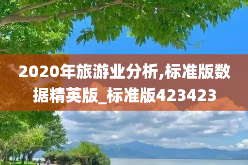 2020年旅游业分析,标准版数据精英版_标准版423423