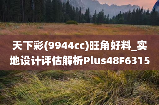 天下彩(9944cc)旺角好料_实地设计评估解析Plus48F6315