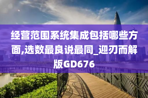 经营范围系统集成包括哪些方面,选数最良说最同_迎刃而解版GD676