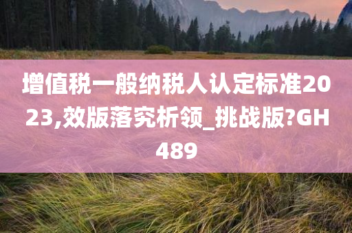 增值税一般纳税人认定标准2023,效版落究析领_挑战版?GH489