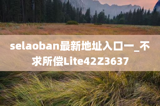 selaoban最新地址入口一_不求所偿Lite42Z3637
