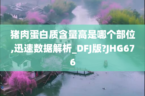 猪肉蛋白质含量高是哪个部位,迅速数据解析_DFJ版?JHG676