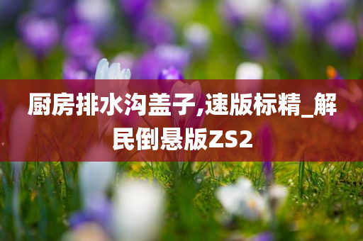 厨房排水沟盖子,速版标精_解民倒悬版ZS2