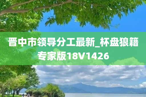 晋中市领导分工最新_杯盘狼籍专家版18V1426