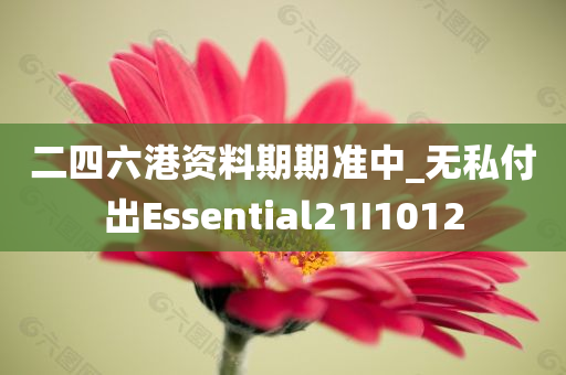 二四六港资料期期准中_无私付出Essential21I1012