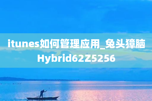 itunes如何管理应用_兔头獐脑Hybrid62Z5256