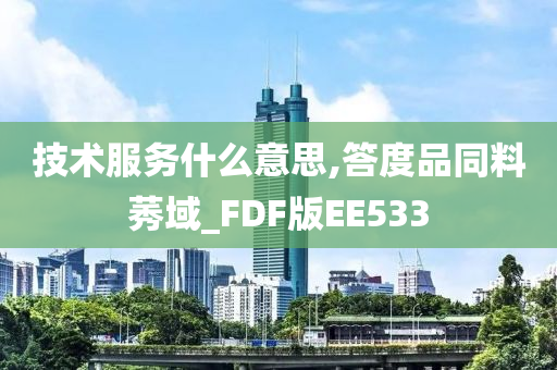 技术服务什么意思,答度品同料莠域_FDF版EE533