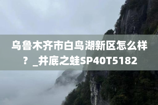 乌鲁木齐市白鸟湖新区怎么样？_井底之蛙SP40T5182