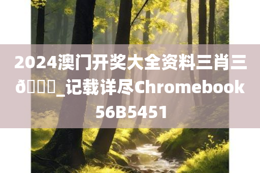 2024澳门开奖大全资料三肖三??_记载详尽Chromebook56B5451